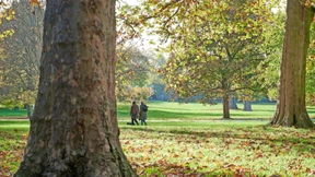 Einig wie selten zu Tunnel unter Grüneburgpark