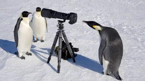 Geht das denn nicht auch kleiner?