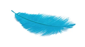 Neue Heimat für die Twitterer?