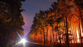 Der Preis des Klimawandels