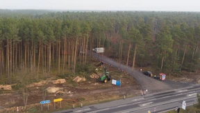 Oberverwaltungsgericht stoppt Rodung für Tesla-Werk vorläufig