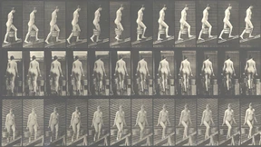 So viel Fotografie war noch nie