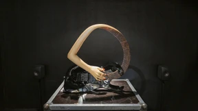 Für ein grenzenloses Europa