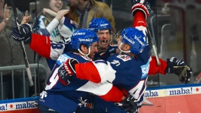 Auch die Adler stehen im Halbfinale