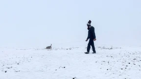 Im Schwarzwald schneit es schon