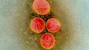 Fakten, Zahlen und Einordnung