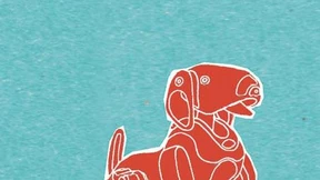 Sie duschen sich nicht