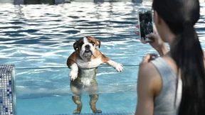 An der Leine, nicht in der Pfanne