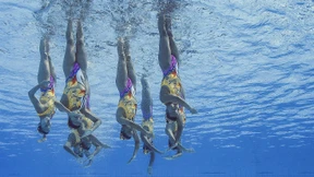 Goldesel – streck dich!