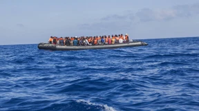 Das Mittelmeer ist ein Dschungel