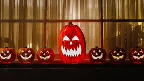 Hässlich, eklig, lustig