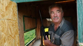 „Als wären die Politiker Heilige“