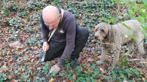 An der Nase herumgeführt