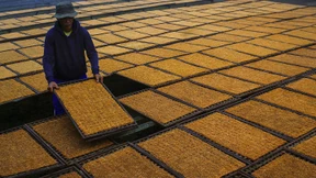 Illegale Tabak-Fabrik tief unter der Erde