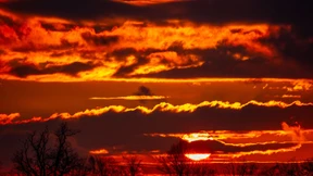 Warum Harvard ein wichtiges Klimaexperiment streicht