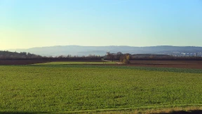Ausnahme für das Ostfeld