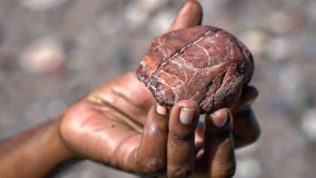 Schmuckstück im Ozean