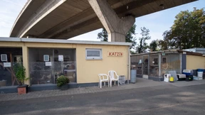 Mainzer Hochbrücke soll verschwinden