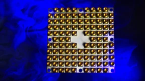 Die rechnenden Simulanten