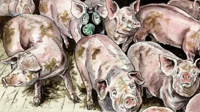 Zurück zur demokratischen Quelle