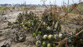 2018 war viertwärmstes Jahr seit Messbeginn