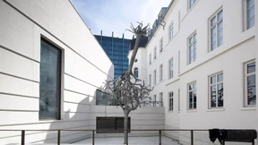 Lichter Blick in die Geschichte