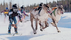 Mit Tempo 50 auf der Rentier-Rennbahn