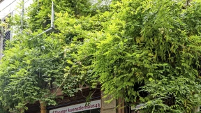 Neue Hoffnung für „kuenstlerhaus 43“