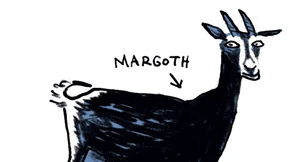 Mit Thüringer Waldziegen in den Hunsrück