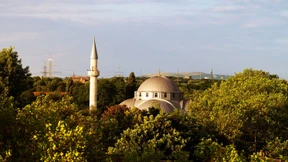 Wir brauchen noch Lemminge