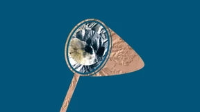 Puzzle mit Schwindel-Effekt