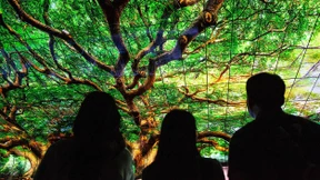 Aufrollbare Fernseher und faltbare Smartphones