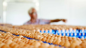 Hinweise auf belastete Eier auch in Hessen