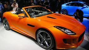 Kein Liebhaber spürt den Unterschied