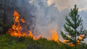 „Waldbrände sind nicht das typische Einsatzszenario“