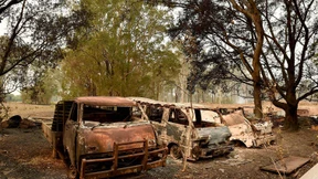 New South Wales und Queensland rufen Notstand aus