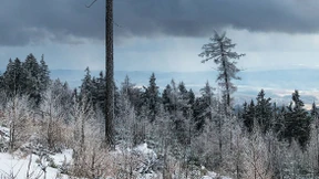 Jenseits von Österreich