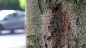 Löcher in der Lebensqualität