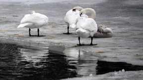 Abermals Glättegefahr im Norden und Nordosten Deutschlands
