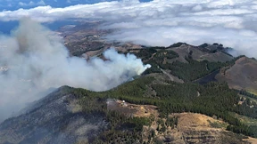 Waldbrand auf Gran Canaria dauert an