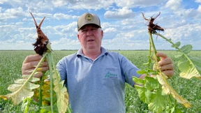 “Estamos sendo dominados por empresas estrangeiras”