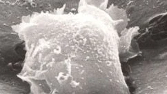 Wildwuchs in den Kliniken?