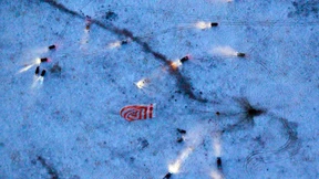 Landung in verschneiter Steppe