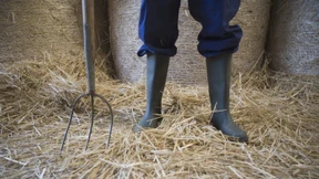 Der Bauer, das unbekannte Wesen