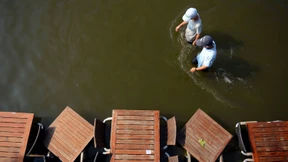 So schmeckte der Sommer