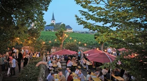 Ausschank in den Weinbergen