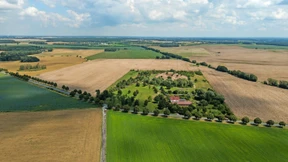 Wie die AfD mit rechter Ökopolitik punkten will