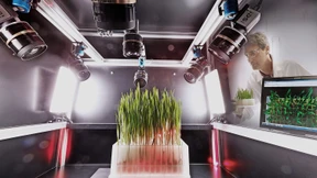 Bayer verdient mehr als erwartet