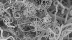 Forscher verwandeln Kohlendioxid in Karbonfasern