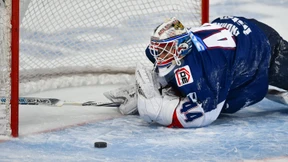 Eisbären vor schwerer Reise